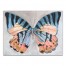 Bright Butterfly 40 x 30 Canvas Wall Art