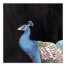 12 x 12 Canvas Wall Art