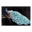 Peacock 48 x 32 Canvas Wall Art