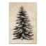 Woodcut Pine Tree 16 x 24 Canvas Wall Art