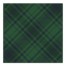 Plaid Balette Bias Green 12 x 12 Canvas Wall Art