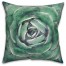 Light Emerald Succulent  Outdoor Throw Pillow