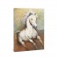 Orange and Blue Horse Canvas Wall Art