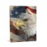 Patriotic Eagle Canvas Wall Art 