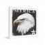'Merica Eagle 16x16 Canvas Wall Art