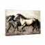 Run Horse Run Canvas Wall Art